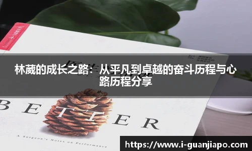 管家婆官网资料