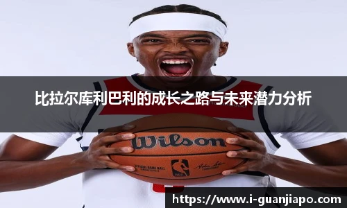 管家婆资料大全